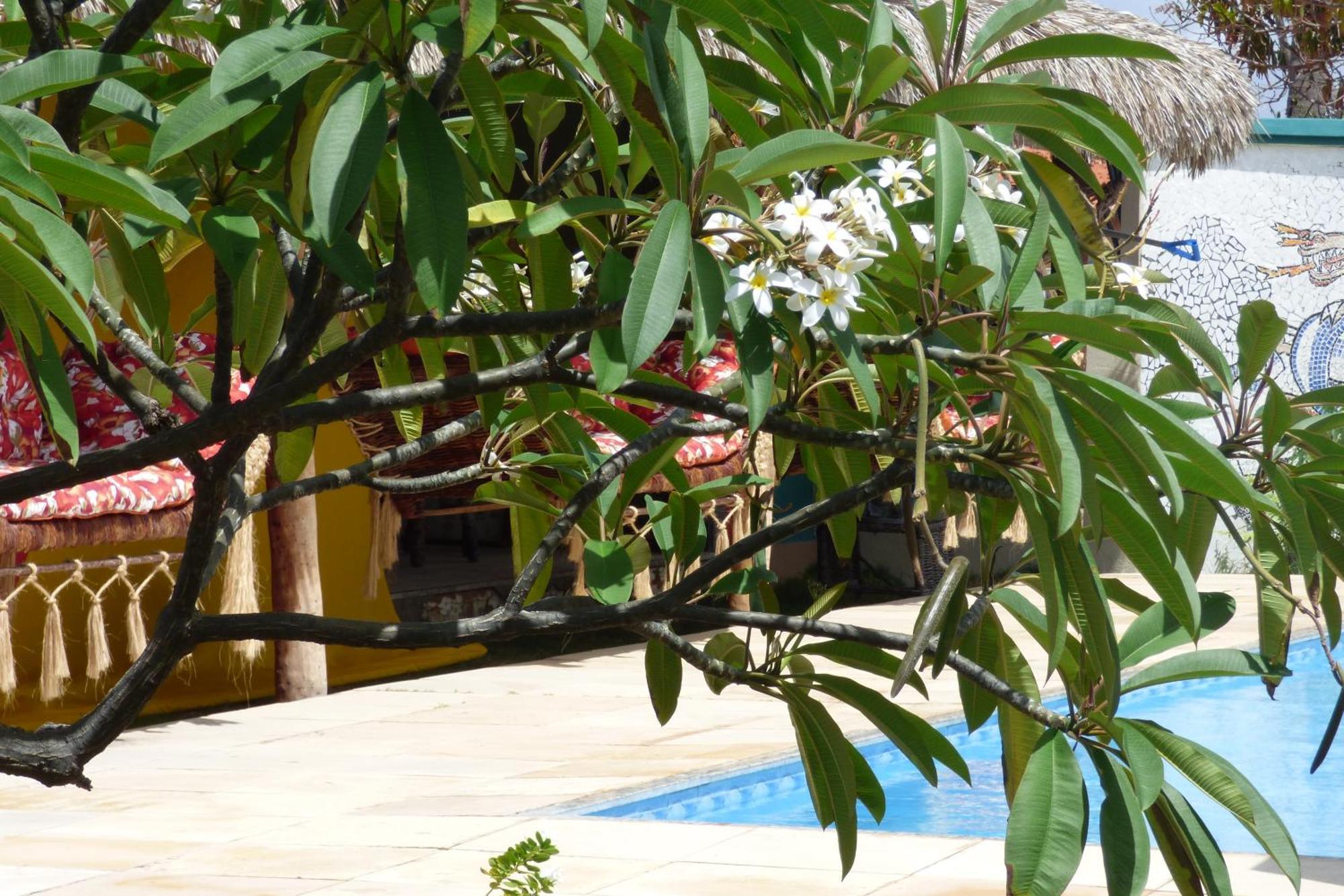 A Toca Do Bem-Te-Vi Hotel Aguas Belas Ngoại thất bức ảnh